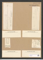Stauroneis phoenicentrum (Nitzsch.) Ehr. (de-Toni-Nr.: Genus 6, Species 867) Zeichnungen Sammlung Grunow Nr. 1724 (NHMW-BOT-W0368602)